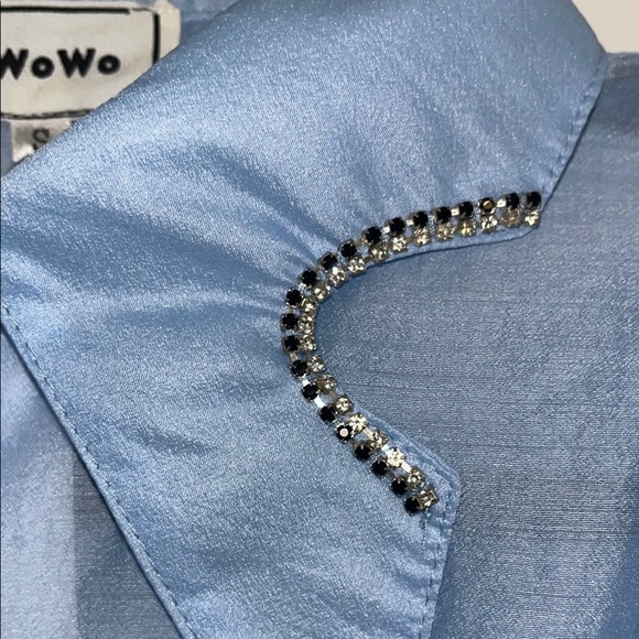 Wowo Sheer Blue Blouse with Puff Sleeves - Picture 2 of 5